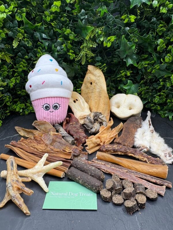 Birthday Treat Box