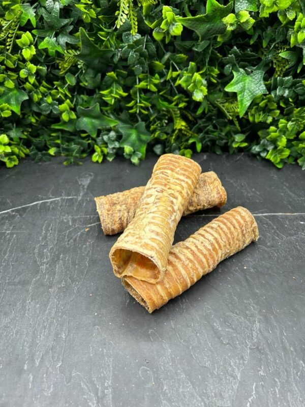 Beef Trachea