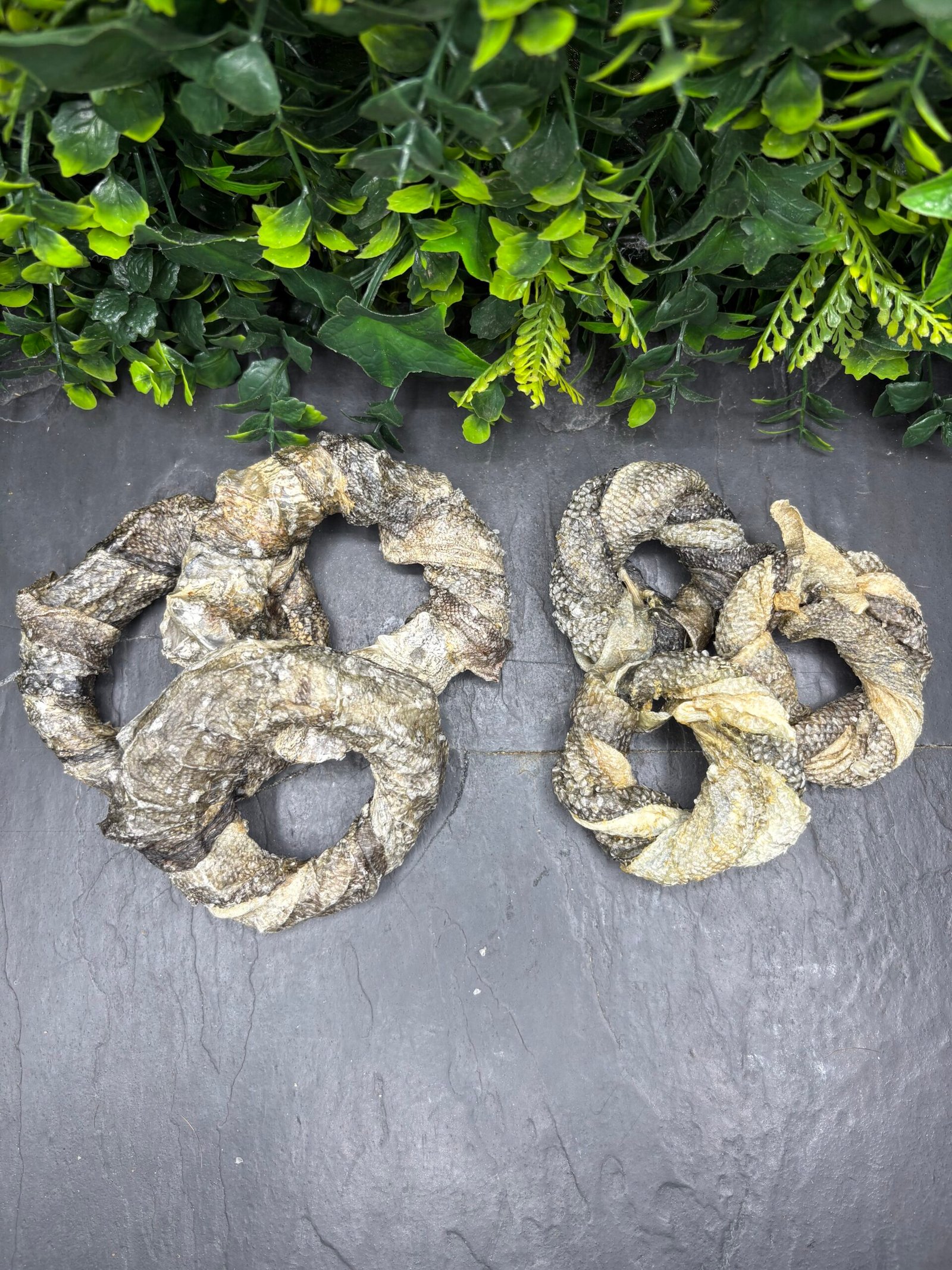 Fish Donuts