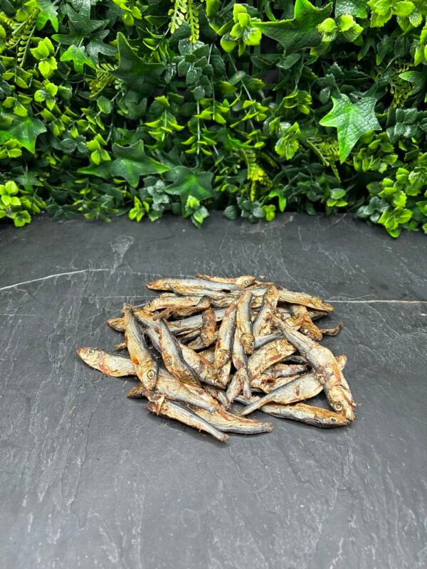 Fish Sprats Baltic
