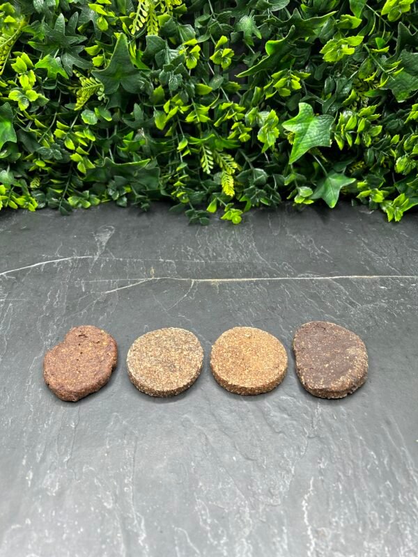 Gourmet Burgers