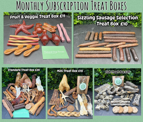 Subscription Treat Boxes
