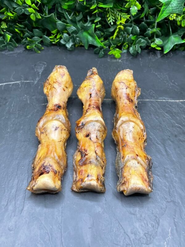 Ostrich Foot