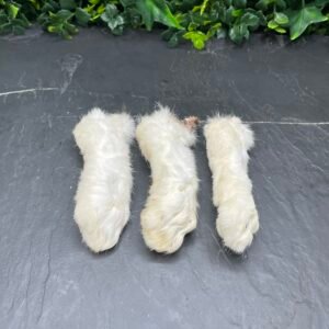 Rabbit Foot With Fur