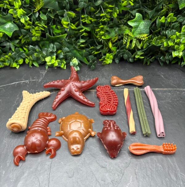 Fruit & Veggie Treat Box