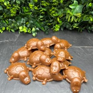 Vegetable & Peanut Butter Turtle