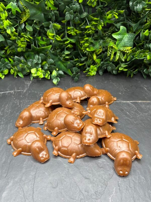 Vegetable & Peanut Butter Turtle