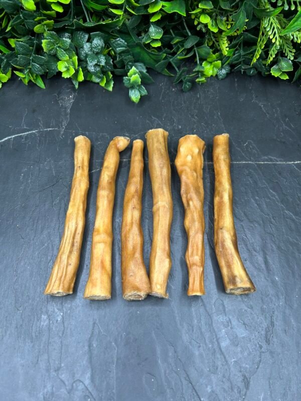 Beef Tails