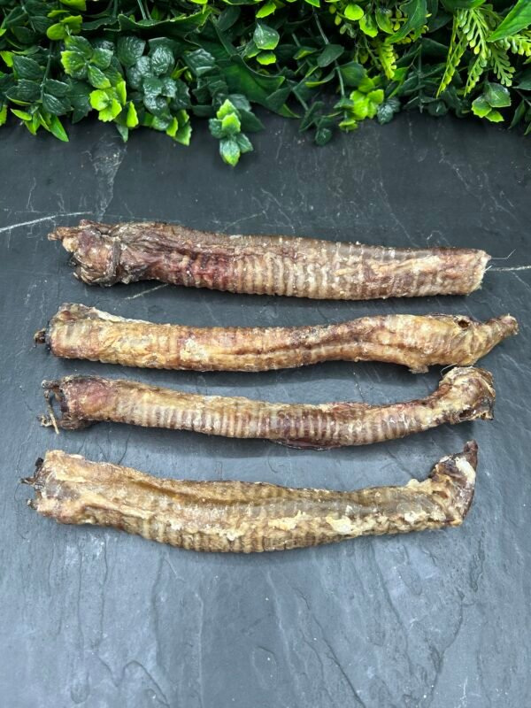 Lamb Tubes